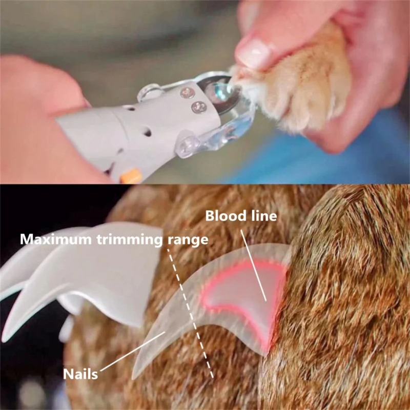 Coupe-ongles pour animaux de c - Model Kit Clipper avis et prix