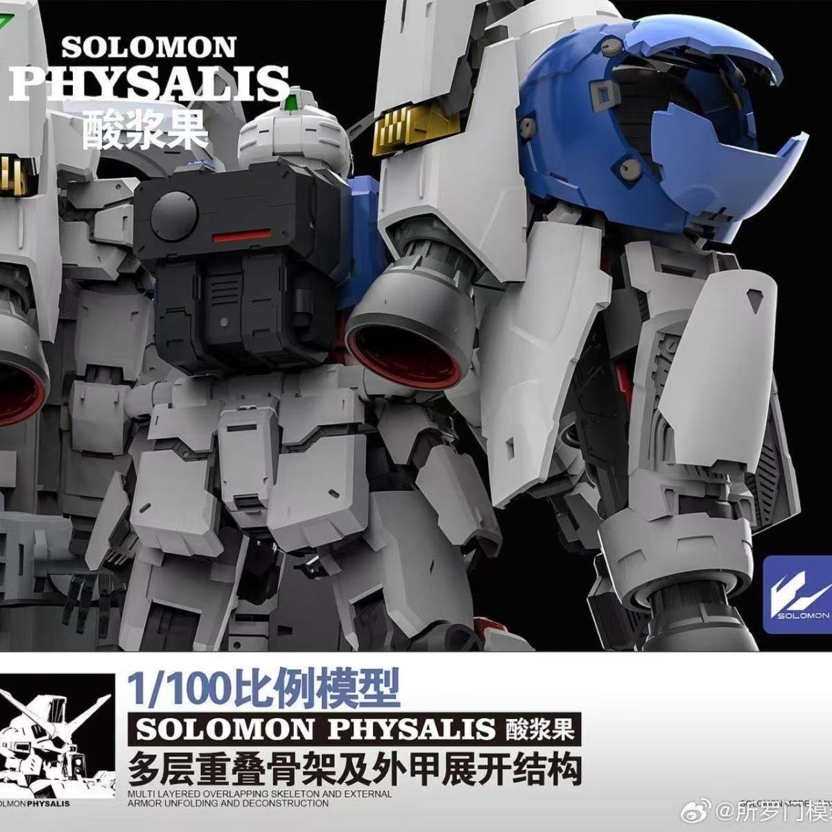 SOLOMON PHYSALIS GP02 1/100 MG - Model Kit Lynx avis et prix